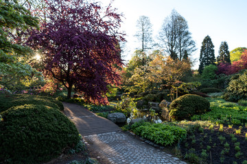 Der Park Planten un Blomen in Hamburg