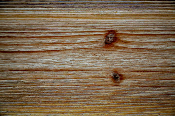 Holz