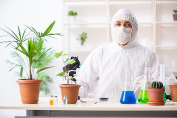 Biotechnology chemist working in lab