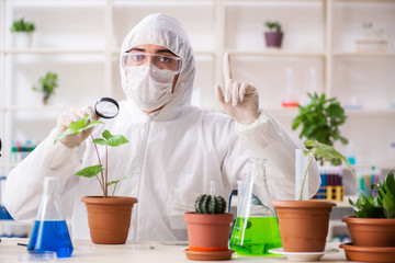 Biotechnology chemist working in lab