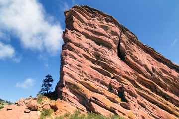 Red Rocks near Denver, Colorado USA. Lonely Pine tree at foothills of the Rocky Mountains. White...