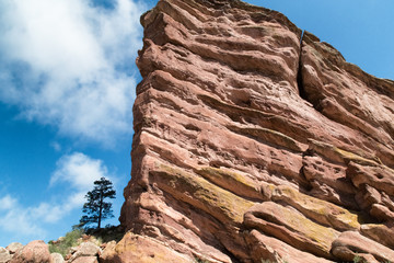 Red Rocks near Denver, Colorado USA. Lonely Pine tree at foothills of the Rocky Mountains. White clouds blue sky as background.