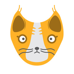 Muzzle of a yellow cat on a white background