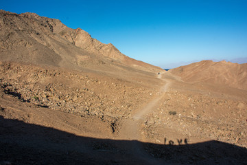 Sinai desert - love in shadow 