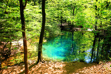 River source in the mountainous forest 