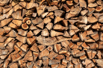 Holzstoß aus Holz von Obstbäumen im Sonnenschein