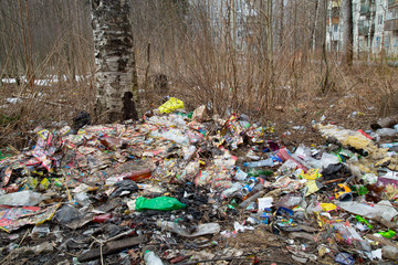 Garbage in the forest. Plastic and glass bottles in the Park.