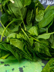 fresh spinach leaves, organic food close up