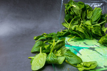 fresh spinach leaves, organic food close up