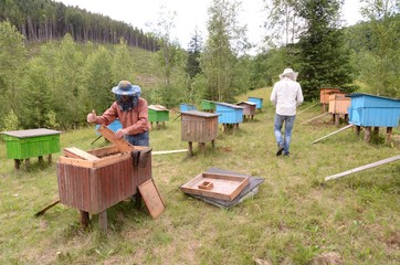Apiary in the Carpathians. Beekeepers inspecting hive with a knife