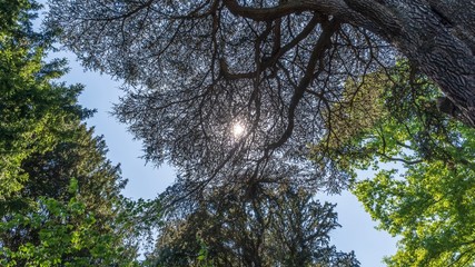 Jardin des Plantes, Paris, France 