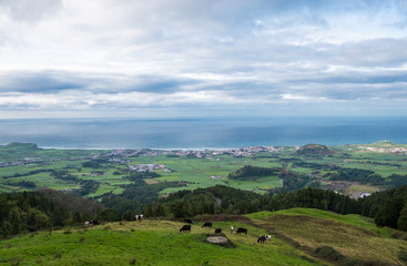 Fototapeta na wymiar Landscape view to the Atlantic Ocean, Ribeira Grande, Sao Miguel Island, Azores, Portugal