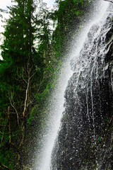 high mountain waterfall in the woods , Yalinsky mountain waterfall , Ukraine , Carpathians