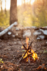 Small bonfire in the forest.