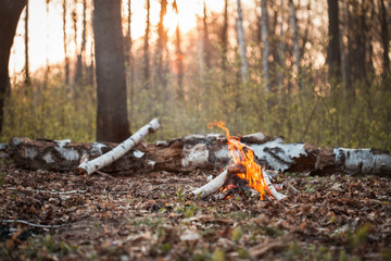 Bonfire in forest at sunset