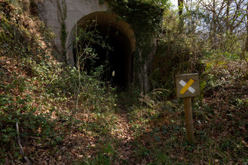 Wrong way sign. beautiful forest. Natural composition