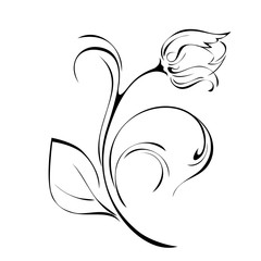 one Tulip Bud on a stem with a leaf and curls in black lines on a white background