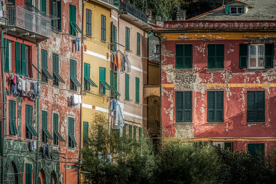 Houses
