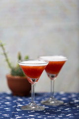 cocktail in the bar