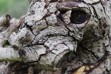 PATTERN