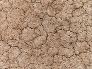 Cracked earth, Drought texture background. Concept of global warming.