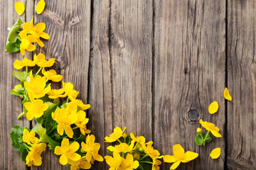 yellow spring flowers on dark wooden background