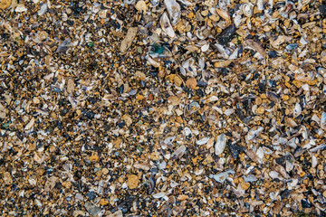 Shell and pebble stone for background texture