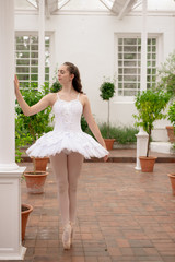 Fototapeta premium Ballerina In The Orangery 