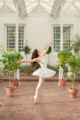 Ballerina In The Orangery 