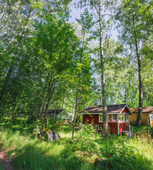 Summer rural landscape of the suburbs of Helsinki, Finland. Traditional wooden cabins at the forest.