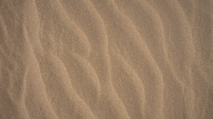 Fototapeta na wymiar close up sand