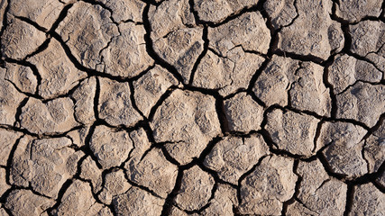 parched earth