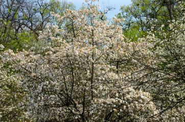 drunk multicolored cardboard cup of coffee with two tubes