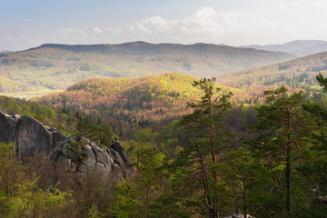 Fototapeta na wymiar Warm weather is in the mountain forests of Ukrainian Carpathians on the rocks of the Dovbush