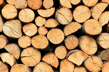 Fototapeta premium Firewood pile stacked chopped wood trunks