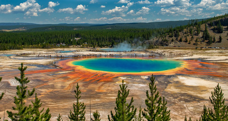 Geysers of  Yellowstone