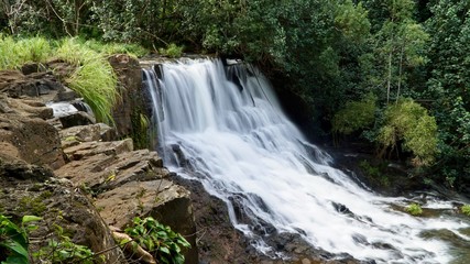 Waterfall in the Kauai Forest