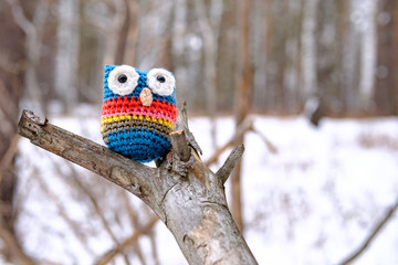 on a dry branch of a tree the handmade toy connected from wool