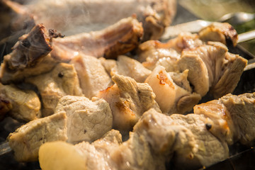 barbecue on the grill close-up