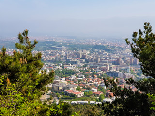 City landscape with green trees in foreground on a sunny day