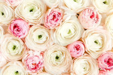Bouquet, texture of pink ranunculus and rose flower buds close up. Flat lay, top view. Ranunculus flower texture. 
