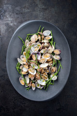Steamed Japanese carpet shell with blanched green salicornia as top view on a modern design plate with copy space