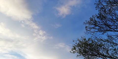 Blue sky and light white clouds. Light flying unemployed background