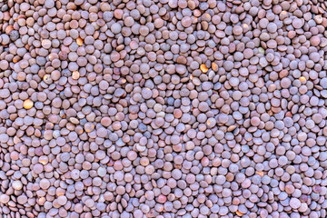 Brown lentils texture background, vegetable protein source fo vegetarians and vegans