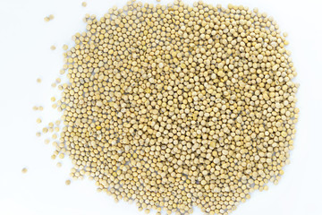 Closeup of soy beans on white background, selective focus (detailed close-up shot) 