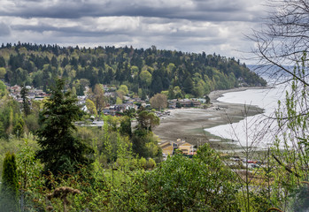 Washington Coast In Spring 3