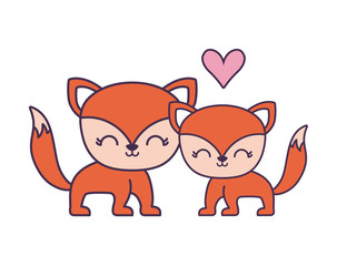 couple of cute fox animal isolated icon