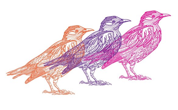 Starling. Spotted bird. Ethnic pattern. Meditative coloring. Mandala, dudling drawing. Drawing from the hand. Points, stripes, arrows, flowers.