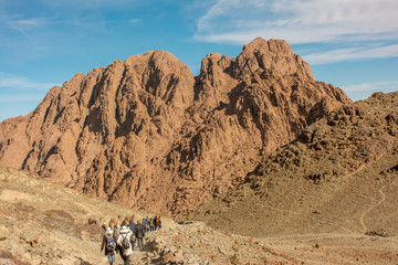 Fototapeta na wymiar the nature of Sinai desert