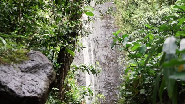Hawaiian waterfall filmed from afar flowing in slow motion with vegetation in the first plan
